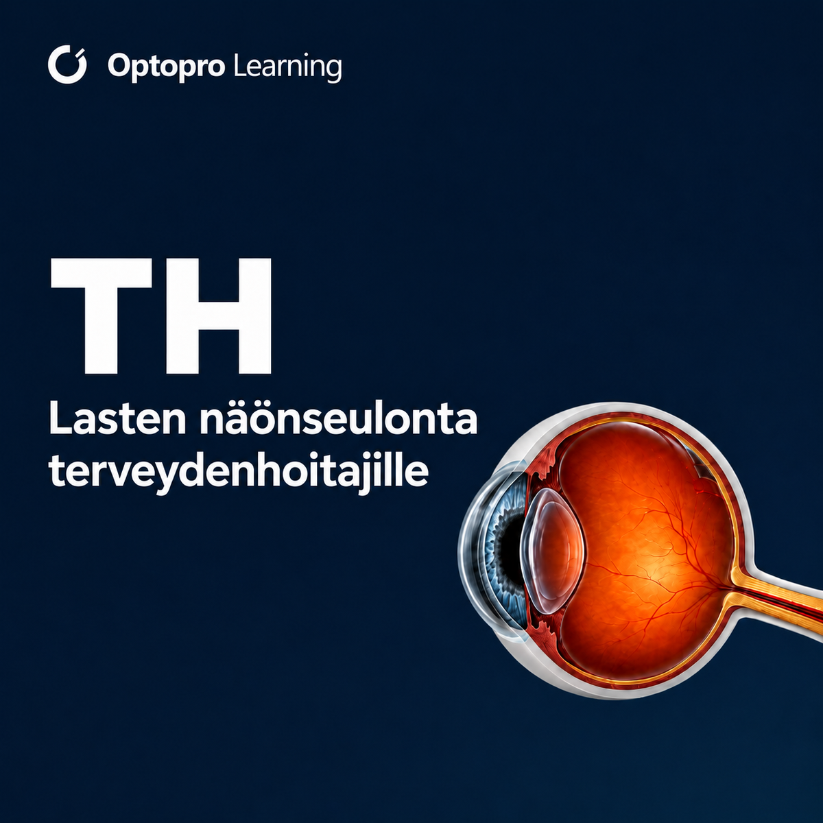 Lasten näönseulontakoulutus terveydenhoitajille