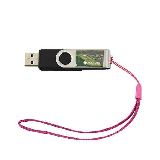 Kirja: MITÄ JA MITEN tämä lapsi näkee? USB-muistitikku